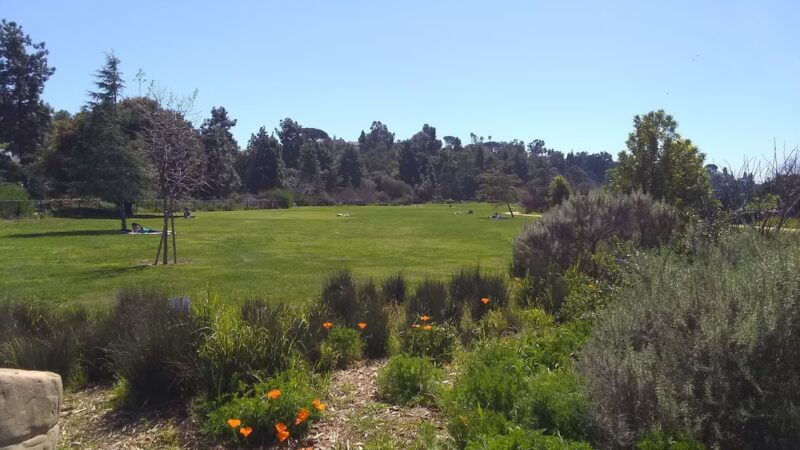 Silver Lake Meadows - Los Angeles, CA