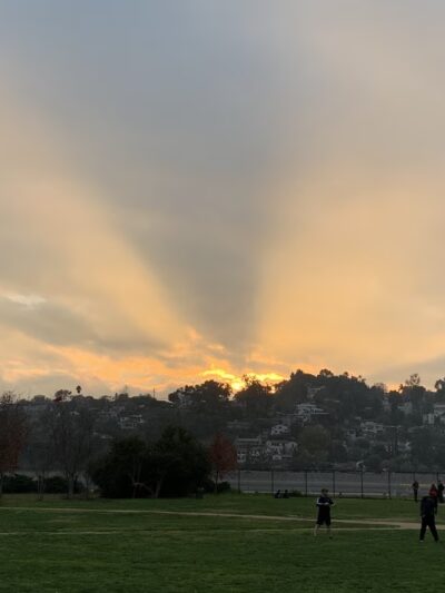 Silver Lake Meadows - Los Angeles, CA