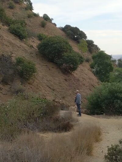 Trebek Open Space - Los Angeles, CA