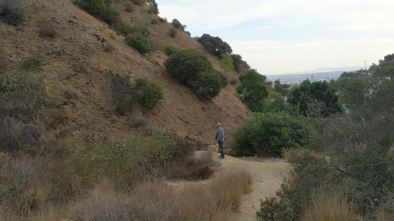 Trebek Open Space - Los Angeles, CA