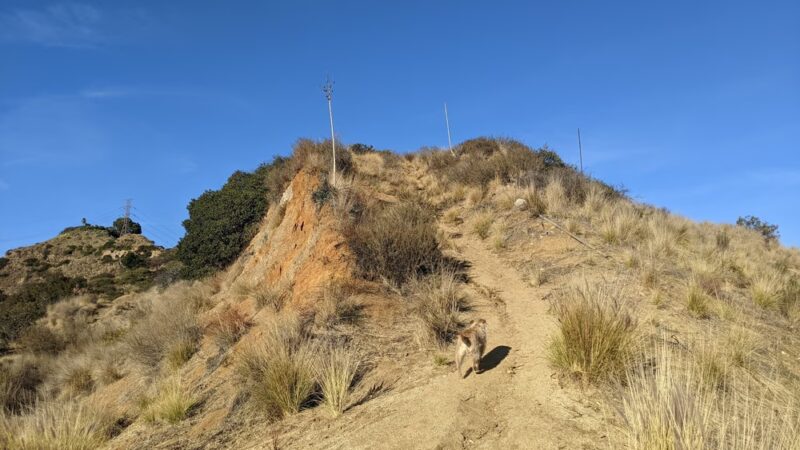 Wattles Crest Trail - Los Angeles, CA