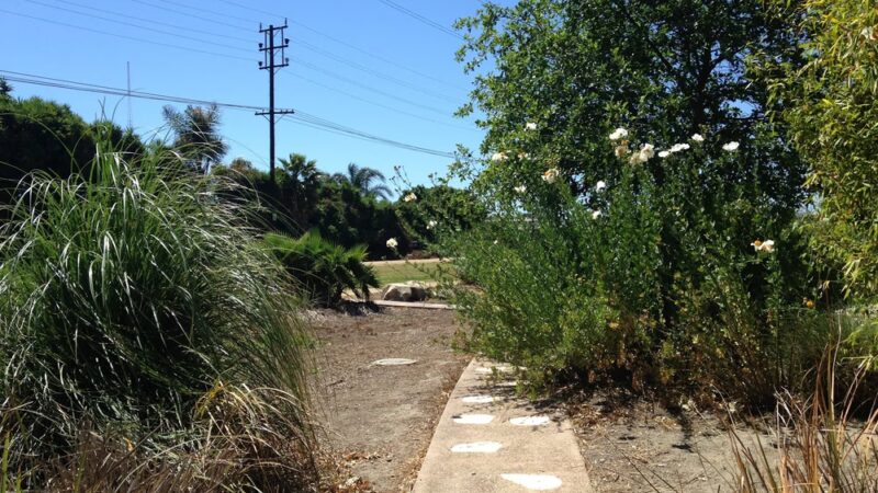 Westside Neighborhood Park - Los Angeles, CA