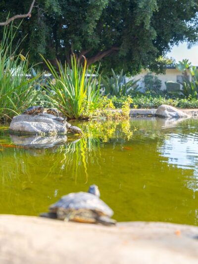 Wilshire Green Park - Los Angeles, CA