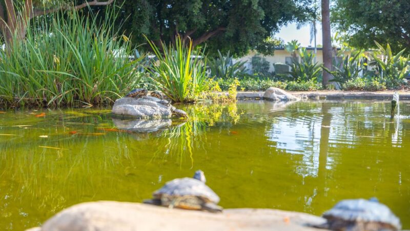 Wilshire Green Park - Los Angeles, CA