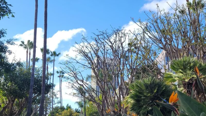 Wilshire Green Park - Los Angeles, CA