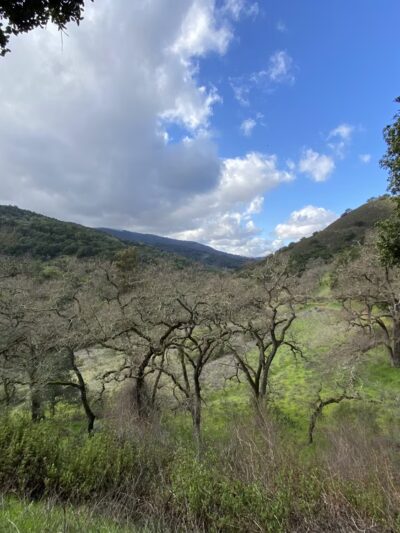 Almaden Quicksilver County Park, Guadalupe Reservoir Dam - Los Gatos, CA