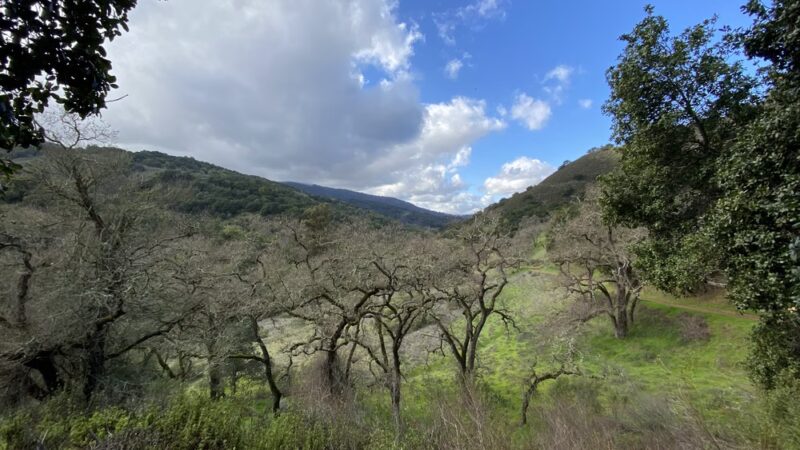 Almaden Quicksilver County Park, Guadalupe Reservoir Dam - Los Gatos, CA