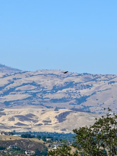 Almaden Quicksilver County Park, Guadalupe Reservoir Dam - Los Gatos, CA