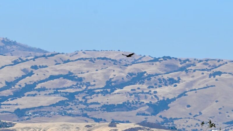 Almaden Quicksilver County Park, Guadalupe Reservoir Dam - Los Gatos, CA