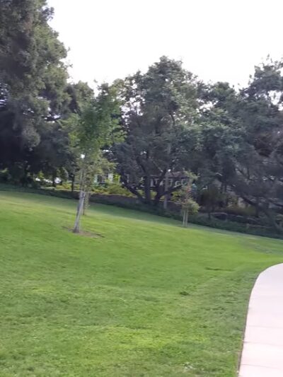 Bachman Park - Los Gatos, CA