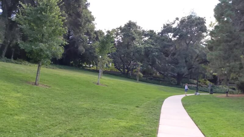 Bachman Park - Los Gatos, CA