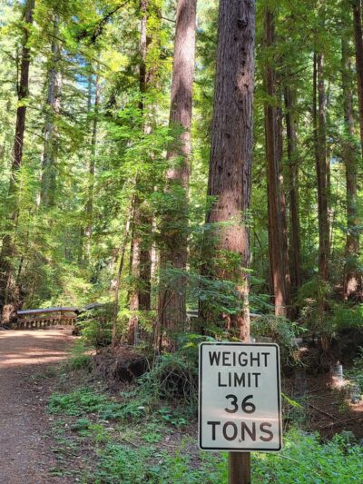 Bear Creek Redwoods Alma Parking Area - Los Gatos, CA