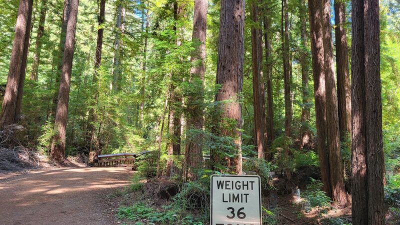 Bear Creek Redwoods Alma Parking Area - Los Gatos, CA