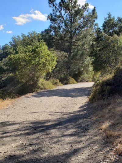 Heintz Open Space - Los Gatos, CA
