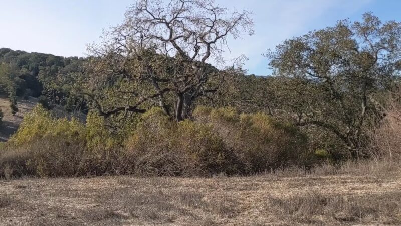 Heintz Open Space - Los Gatos, CA