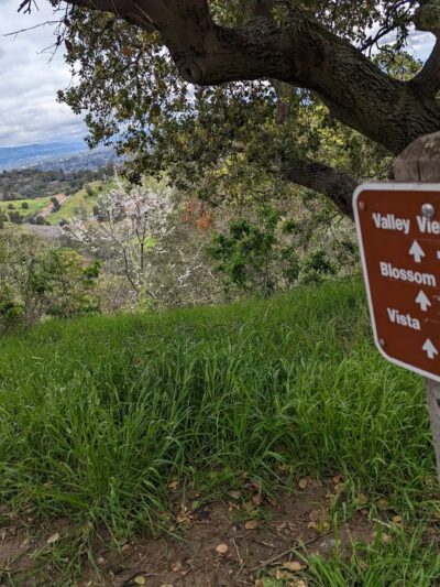 Heintz Open Space - Los Gatos, CA