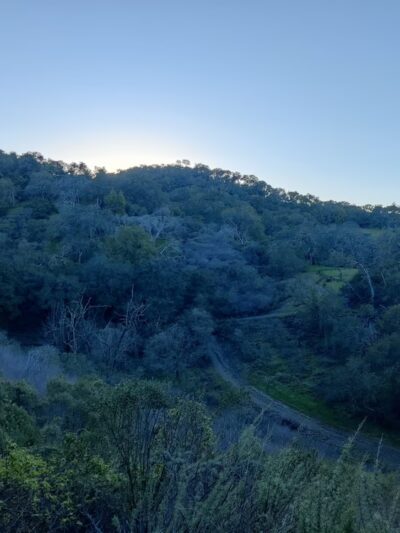 Heintz Open Space - Los Gatos, CA