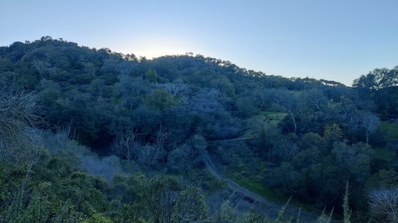 Heintz Open Space - Los Gatos, CA