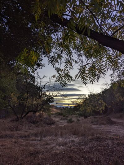 Kennedy Trail - Los Gatos, CA