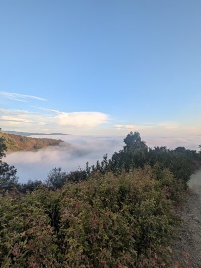 Kennedy Trail - Los Gatos, CA