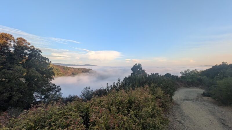 Kennedy Trail - Los Gatos, CA