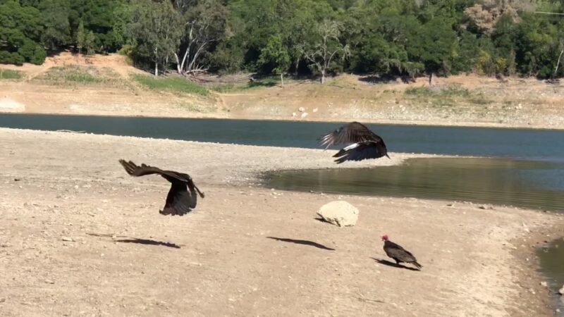 Lexington Reservoir County Park - Los Gatos, CA