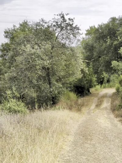 Los Gatos Creek Trail - Los Gatos, CA