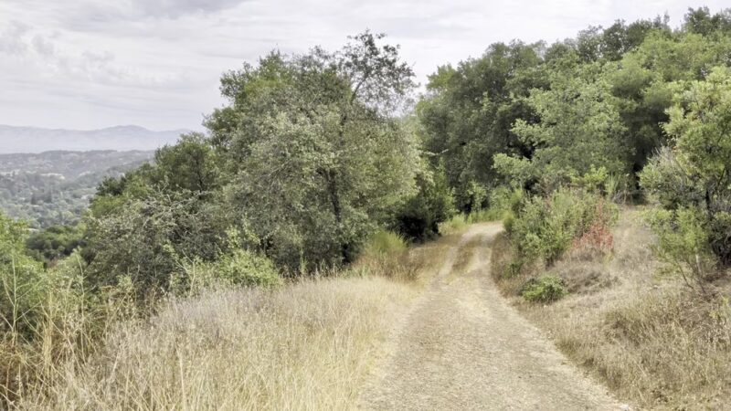 Los Gatos Creek Trail - Los Gatos, CA