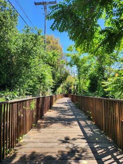Los Gatos Creek Trail - Los Gatos, CA