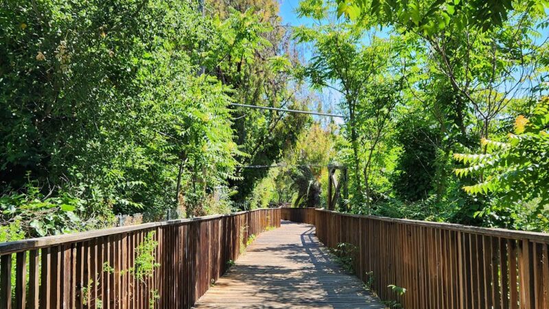 Los Gatos Creek Trail - Los Gatos, CA