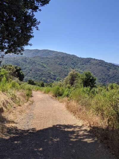 St. Joseph's Hill Open Space Preserve - Los Gatos, CA