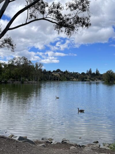 Vasona Lake County Park - Los Gatos, CA