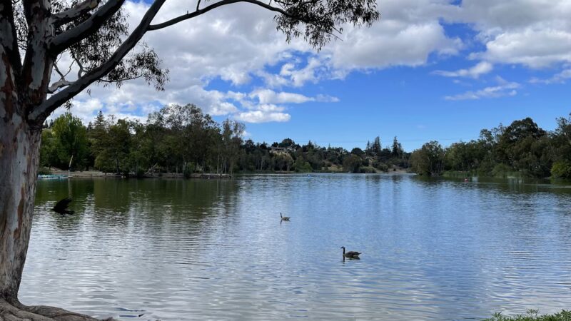 Vasona Lake County Park - Los Gatos, CA