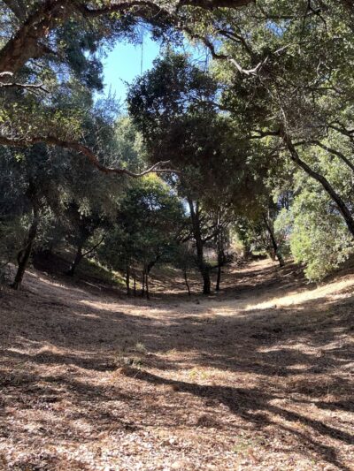 Worcester Park - Los Gatos, CA
