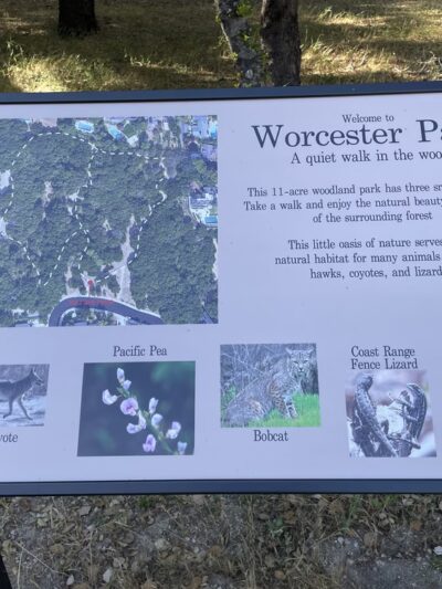 Worcester Park - Los Gatos, CA
