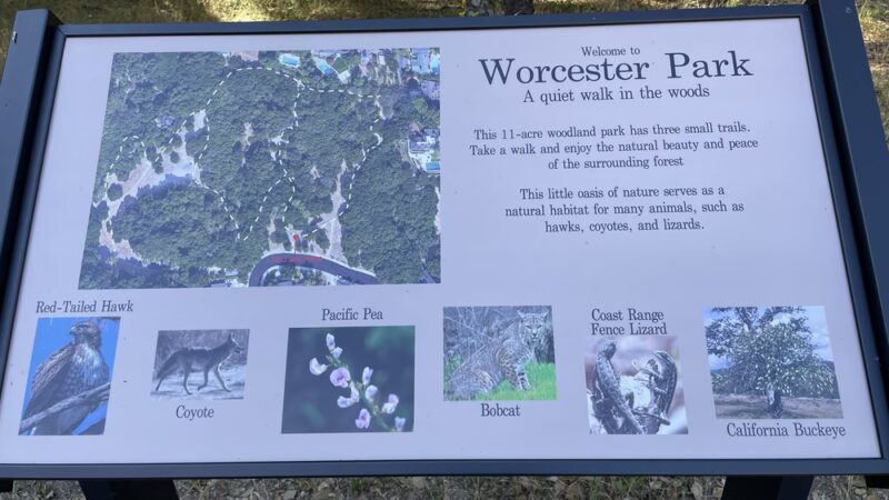 Worcester Park - Los Gatos, CA