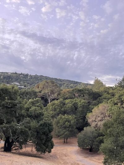 Worcester Park - Los Gatos, CA