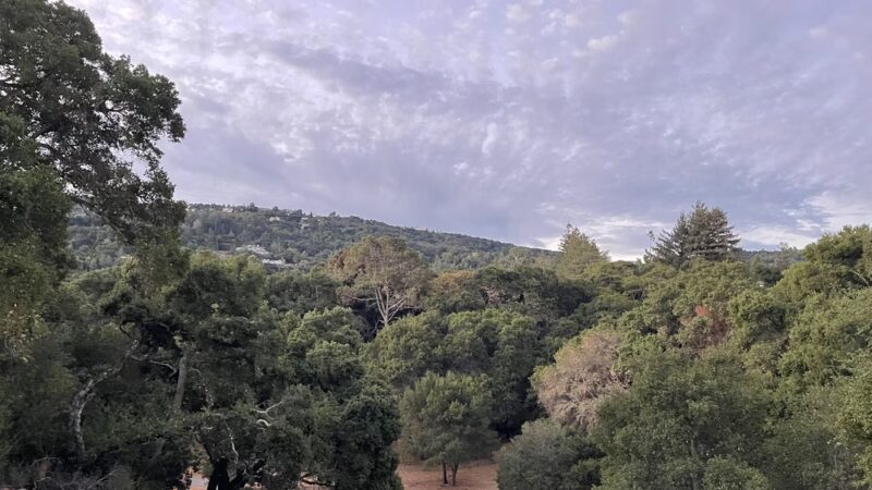 Worcester Park - Los Gatos, CA