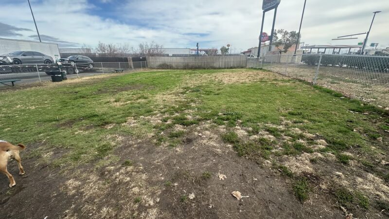 Dog Park at Love's Travel Stops - Lost Hills, CA