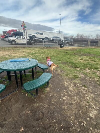Dog Park at Love's Travel Stops - Lost Hills, CA