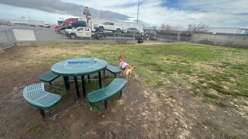 Dog Park at Love's Travel Stops - Lost Hills, CA
