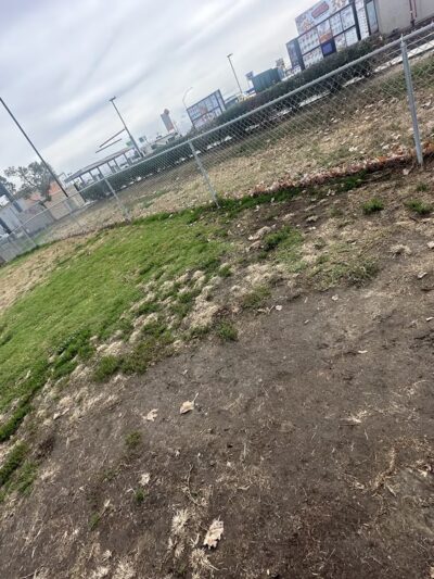 Dog Park at Love's Travel Stops - Lost Hills, CA