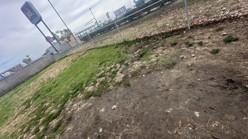Dog Park at Love's Travel Stops - Lost Hills, CA