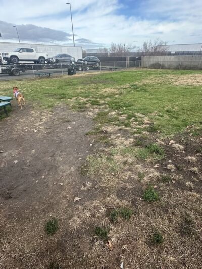 Dog Park at Love's Travel Stops - Lost Hills, CA