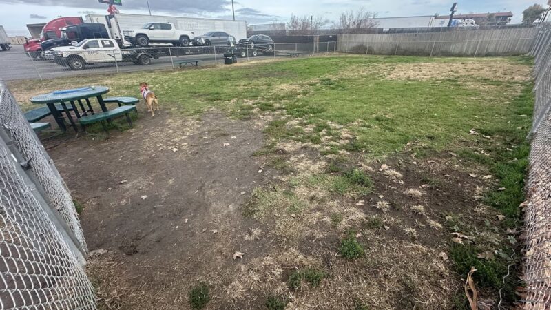 Dog Park at Love's Travel Stops - Lost Hills, CA