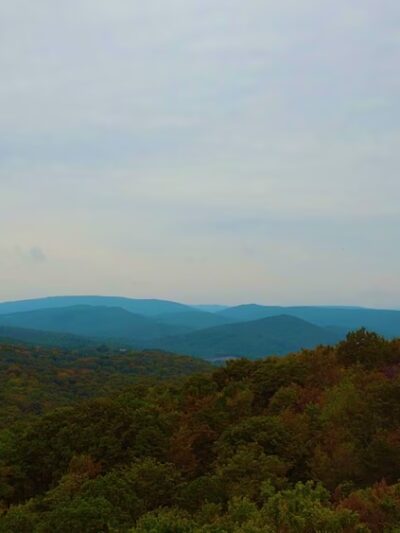 Lost River Butcher Block - Lost River, WV
