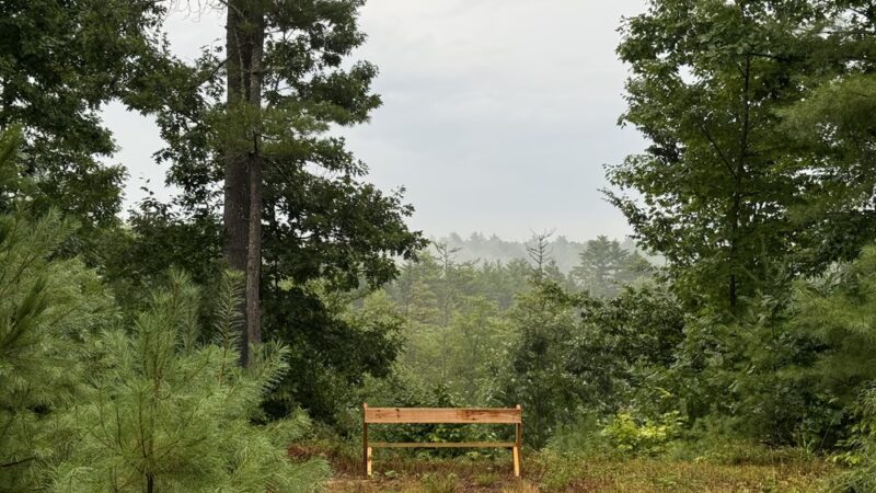Boisvert and Normand Nature Preserve - Loudon, NH