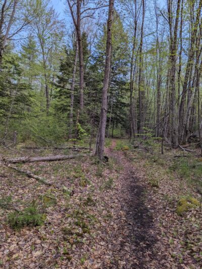 Lovejoy Hiking Trails - Loudon, NH