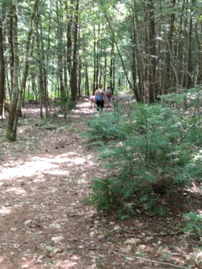 Lovejoy Hiking Trails - Loudon, NH