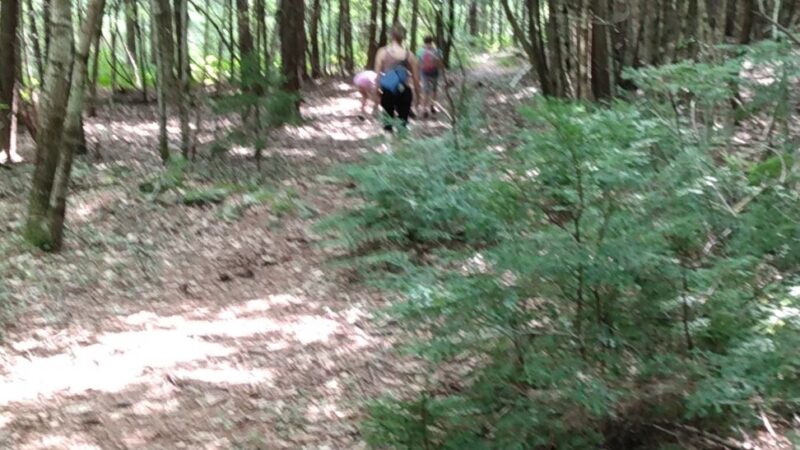 Lovejoy Hiking Trails - Loudon, NH